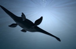 اخبار,اخبار گوناگون,کشف قدیمی ترین فسیل قطب جنوب