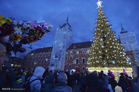 اخبار,اخبار گوناگون, درخت های کریسمس در نقاط مختلف جهان