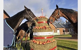 اخبار,اخبارگوناگون,جشن تولد اسب های گران قیمت