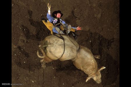 اخبار,اخبارگوناگون, میادین ورزشی از نمای بالا