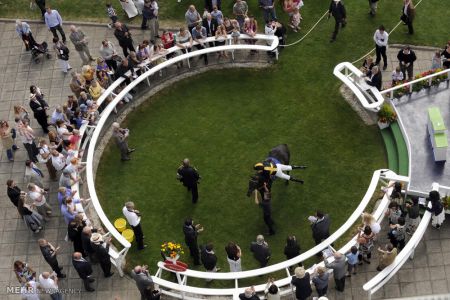 اخبار,اخبارگوناگون, میادین ورزشی از نمای بالا