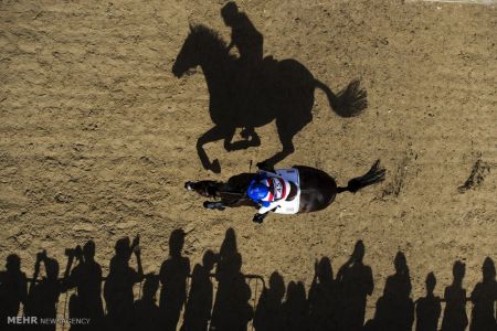 اخبار,اخبارگوناگون, میادین ورزشی از نمای بالا