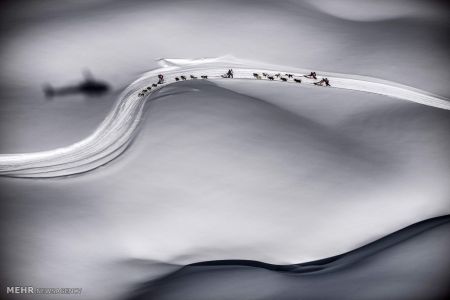 اخبار,اخبارگوناگون, میادین ورزشی از نمای بالا