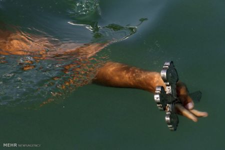 اخبار,اخبار امروز,اخبار جدید