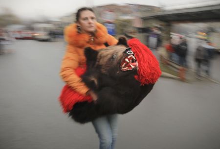 اخبار,اخبارگوناگون,خرس‌هایی که هر سال در رومانی رژه می‌روند.
