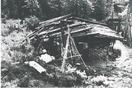 اخبار,اخبارگوناگون,خانواده‌ای که ۴۲ سال تنها در سیبری زندگی کردند