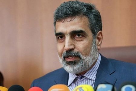 کمالوندی: تحقیقات و ساخت پیشران های هسته ای به صورت جدی پیگیری می شود