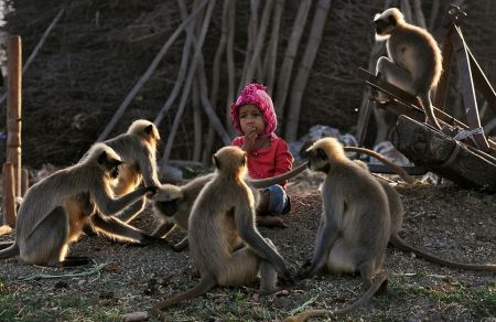   اخبارگوناگون,خبرهای گوناگون,دوستی عجیب یک پسربچه بامیمون‌ها