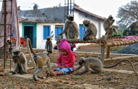   اخبارگوناگون,خبرهای گوناگون,دوستی عجیب یک پسربچه بامیمون‌ها