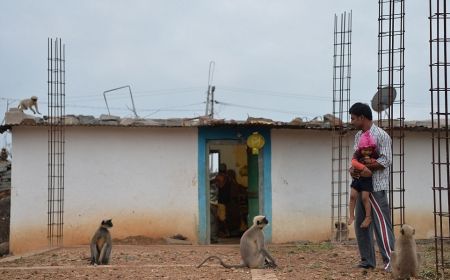   اخبارگوناگون,خبرهای گوناگون,دوستی عجیب یک پسربچه بامیمون‌ها