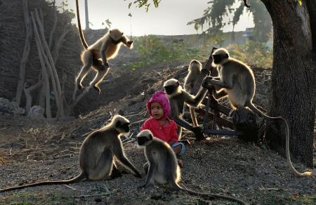   اخبارگوناگون,خبرهای گوناگون,دوستی عجیب یک پسربچه بامیمون‌ها