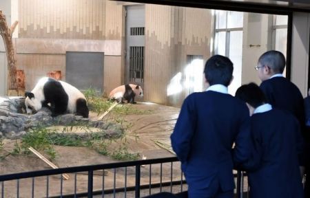 اخبار گوناگون ,خبرهای گوناگون, پاندای تازه متولد شده اخبار گوناگون ,خبرهای گوناگون, پاندای تازه متولد شده