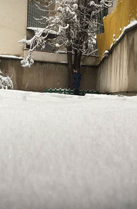 اخبار,اخبار فرهنگی,چهره‌ها در شبکه‌های اجتماعی