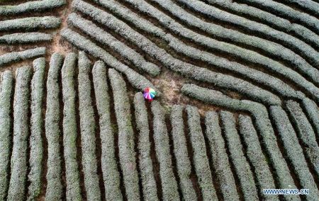 اخبار,اخبار گوناگون,تصاویر هوایی از مناظر برفی چین