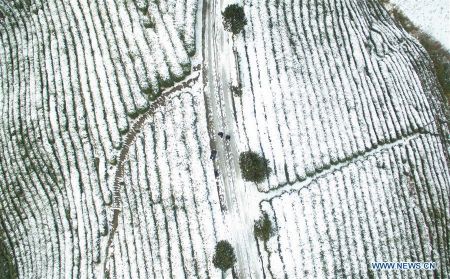 اخبار,اخبار گوناگون,تصاویر هوایی از مناظر برفی چین