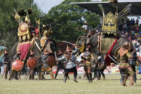 اخبار,اخبار گوناگون,فیل