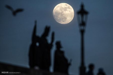 اخبار,اخبار گوناگون,ماه گرفتگی