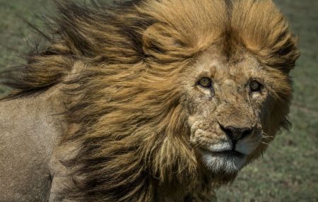 اخبار,اخبار گوناگون,عکس روز نشنال جئوگرافیک