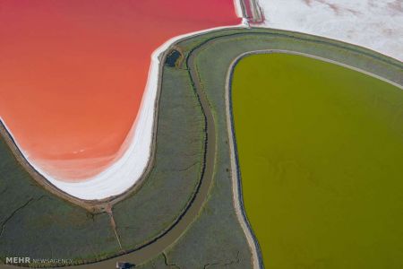 اخبار,اخبار گوناگون,حوضچه های نمک