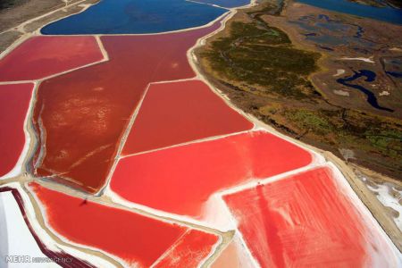 اخبار,اخبار گوناگون,حوضچه های نمک