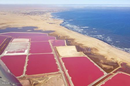 اخبار,اخبار گوناگون,حوضچه های نمک