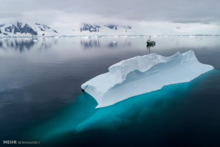 اخبار,اخبار گوناگون,تصاویر منتخب حیات وحش هفته‎