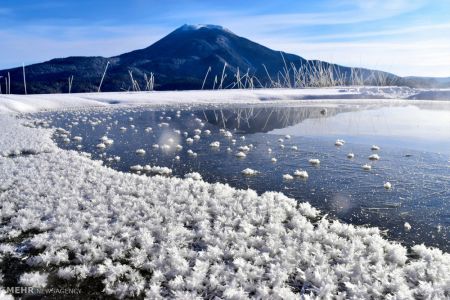 اخبار,اخبار گوناگون,تصاویر منتخب حیات وحش هفته‎