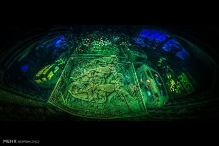 اخبار,اخبار گوناگون,برندگان مسابقه عکاسی زیر آب