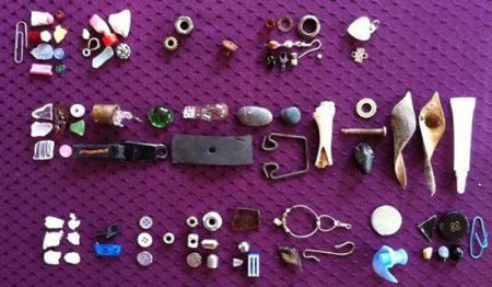 اخبار,اخبارگوناگون,  هدیه دادن در دنیای حیوانات