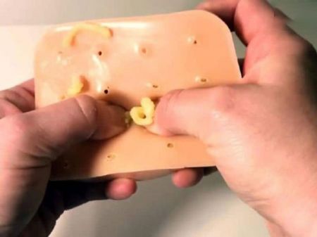 اخبار,اخبارگوناگون,اسباب‌بازی چندش‌آور برای دوستداران جوش چرکی