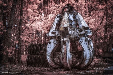 اخبار,اخبار گوناگون, چرنوبیل ؛ شهر ارواح‎