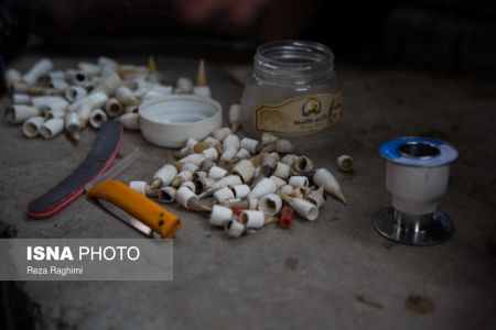 اخبار,اخبارگوناگون,خون‌بازی با خروس جنگی