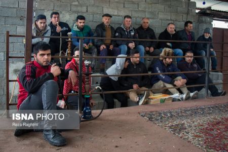 اخبار,اخبارگوناگون,خون‌بازی با خروس جنگی