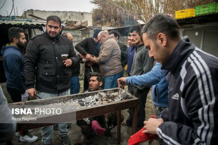 اخبار,اخبارگوناگون,خون‌بازی با خروس جنگی