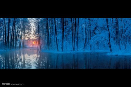 اخبار,اخبارگوناگون, مسابقه عکاسی فضای باز