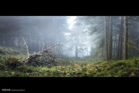 اخبار,اخبارگوناگون, مسابقه عکاسی فضای باز