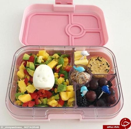 اخبار,اخبار گوناگون, تغذیه دانش‌آموزان استرالیایی