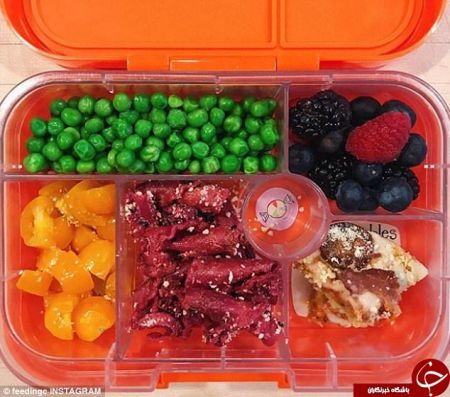 اخبار,اخبار گوناگون, تغذیه دانش‌آموزان استرالیایی