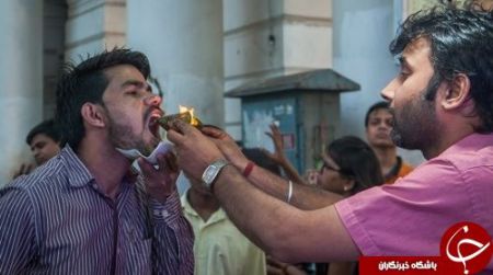 اخبار,اخبارگوناگون, غذایی با چاشنی آتش