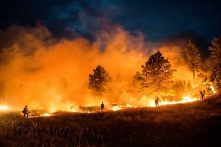   اخبار گوناگون  ,خبرهای  گوناگون , آتش جنگل‌های آمریکا