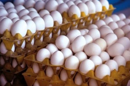 اخباراقتصادی ,خبرهای اقتصادی,تخم مرغ اخباراقتصادی ,خبرهای اقتصادی,تخم مرغ
