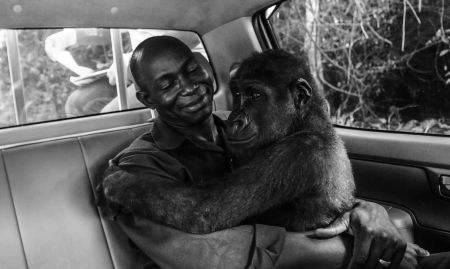  اخبارگوناگون ,خبرهای  گوناگون,حیات‌وحش 