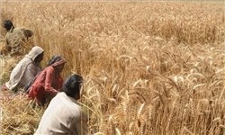 فروش اوراق برای یارانه نان