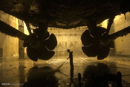 اخبار,اخبار گوناگون,پانزدهمین دوره مسابقه عکاسی مجله استیمسویان