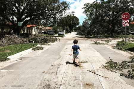 اخبار,اخبار گوناگون,پانزدهمین دوره مسابقه عکاسی مجله استیمسویان