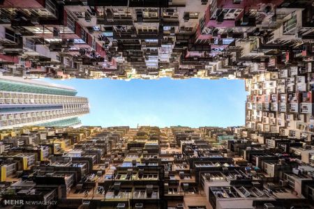 اخبار,اخبار گوناگون,برندگان مسابقه عکاسی در سفر ۲۰۱۸‎