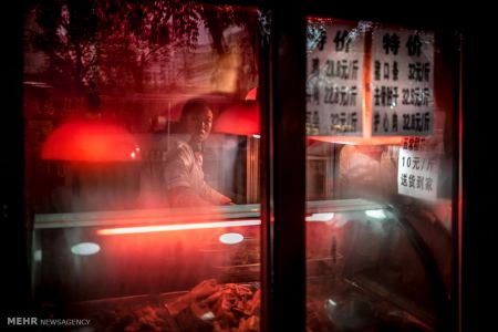 اخبار,اخبار گوناگون,برندگان مسابقه عکاسی در سفر ۲۰۱۸‎