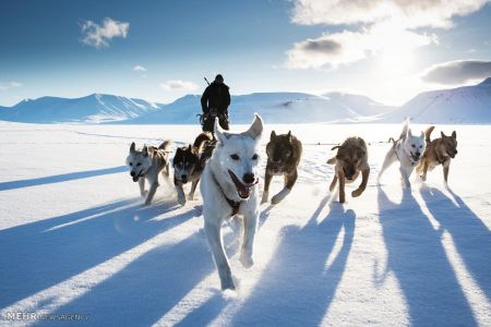 اخبار,اخبار گوناگون,برندگان مسابقه عکاسی در سفر ۲۰۱۸‎