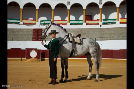 اخبار,اخبار گوناگون,حضور زنان در نقش های مختلف اجتماعی‎