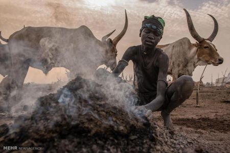 اخبار,اخبار گوناگون,کوچ سالانه گله داران سودان جنوبی اخبار,اخبار گوناگون,کوچ سالانه گله داران سودان جنوبی